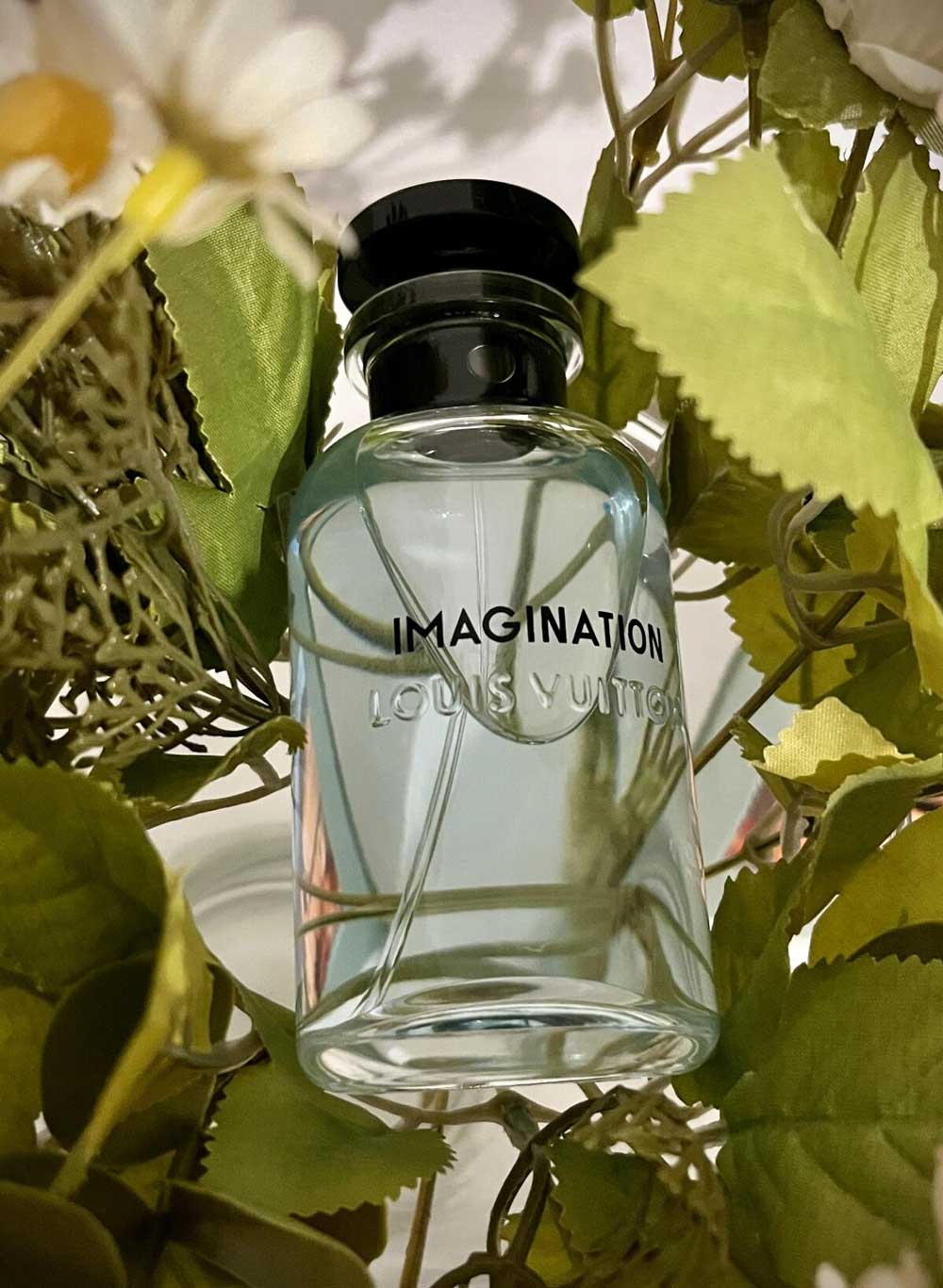 Louis Vuitton Imagination